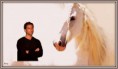 /album/fotogaleria/ale-con-caballo-jov-jpg/